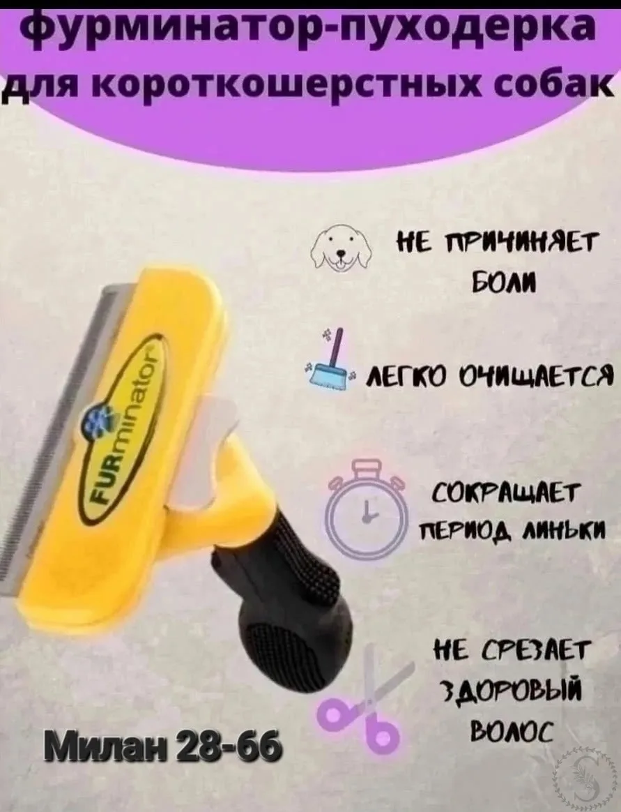 https://vk.com/photo-184814919_493512401