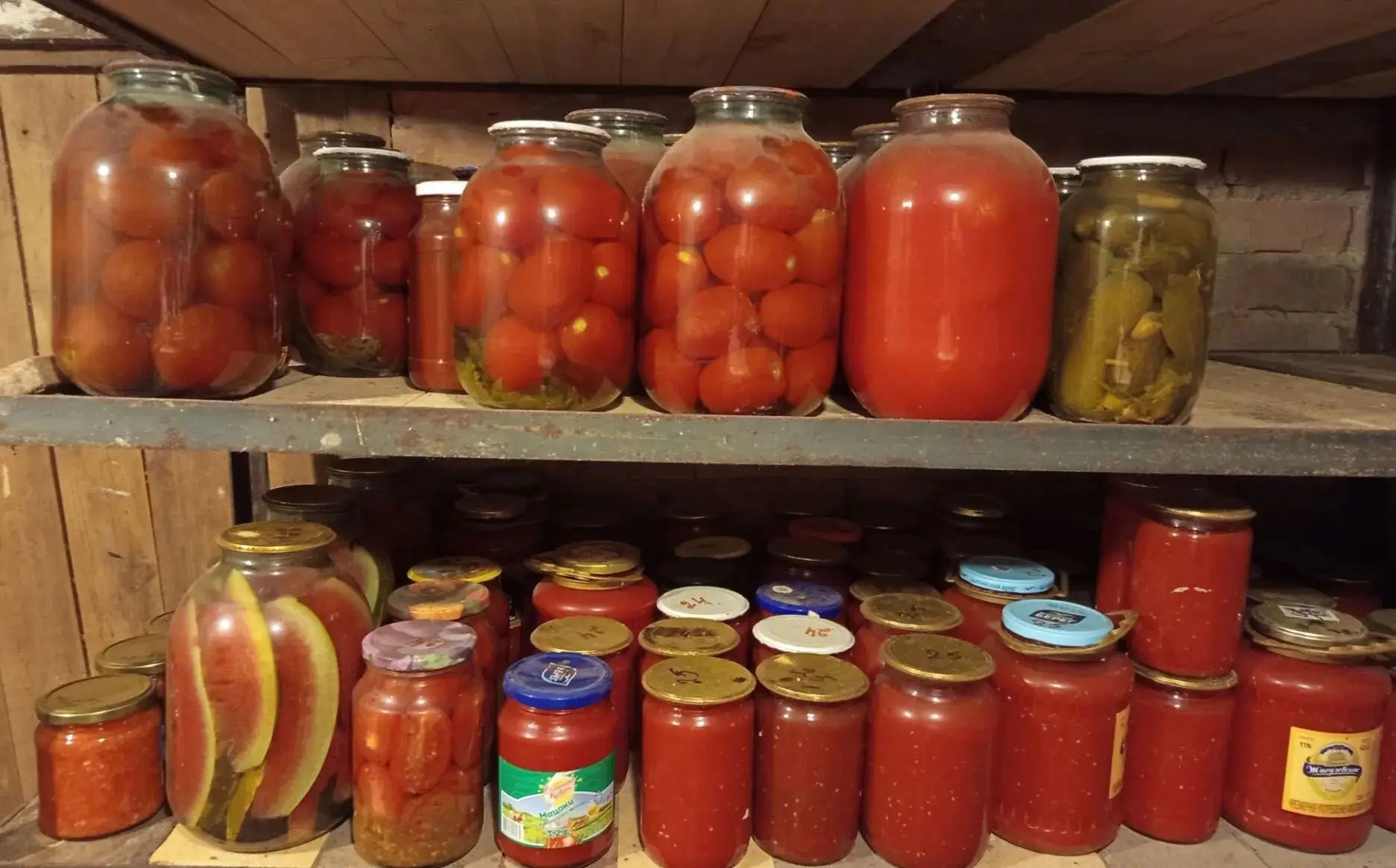 🍅 Погребок: собираем урожай воспоминаний! ❤️