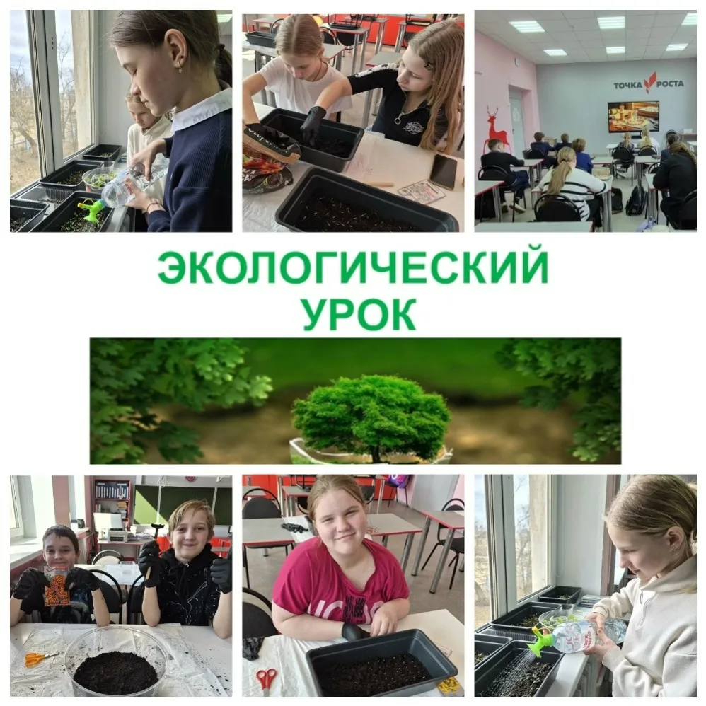 В рамках экологического проекта отряда "ЭкоРадуга", в каникулярное время ребята 5 класс...