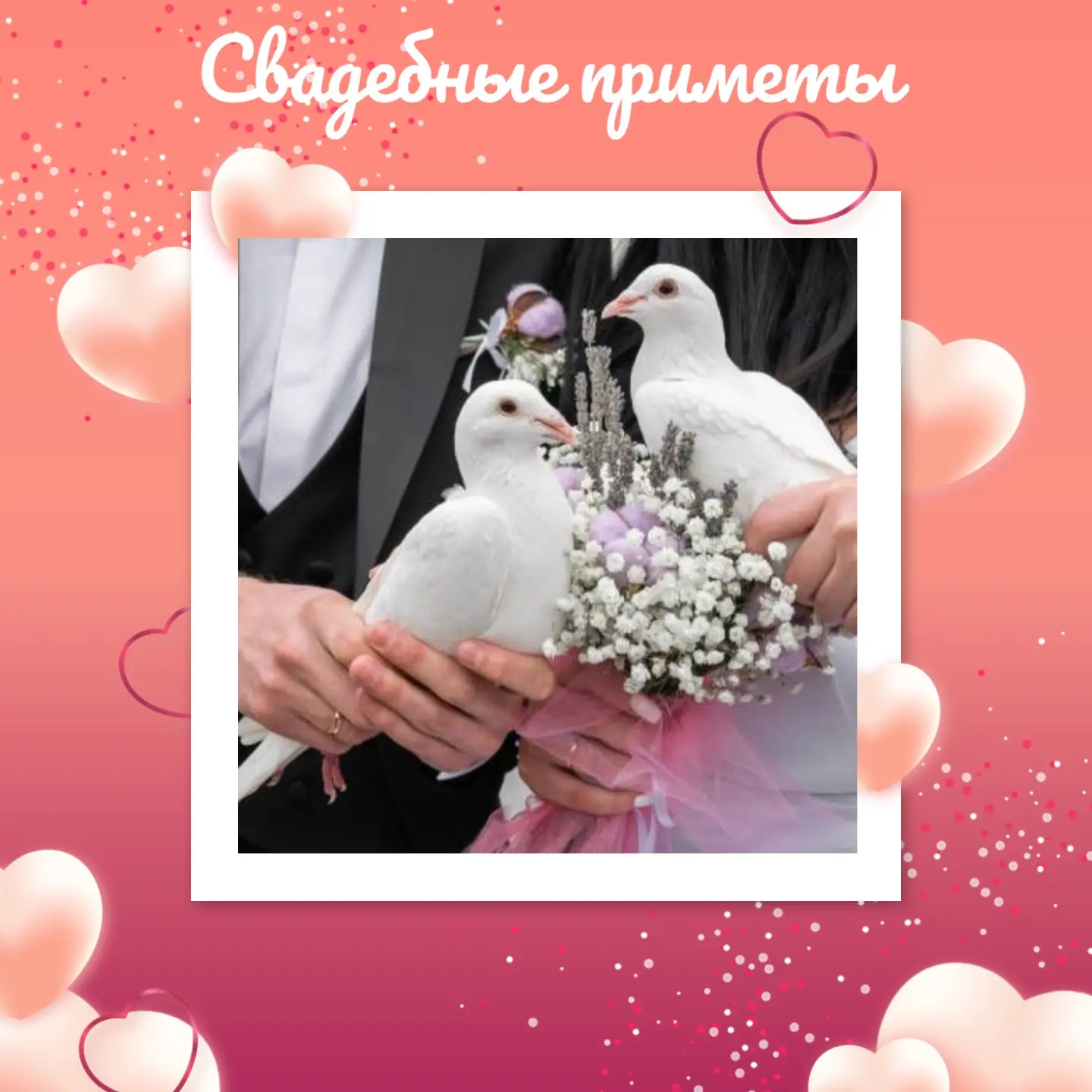 🕊️Интересна примета с выпусканием голубей. Это не только красивая традиция, но и «верн...