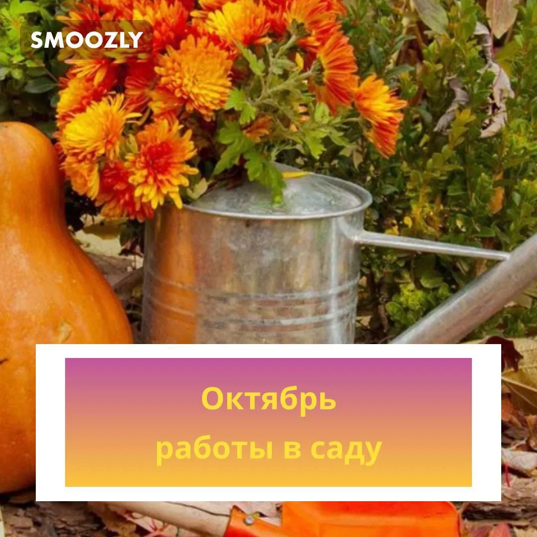 ✅ Поливаем
