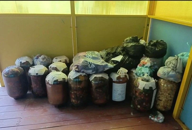 Пластиковые крышки получили «вторую жизнь» в виде кашпо 🌱♻️