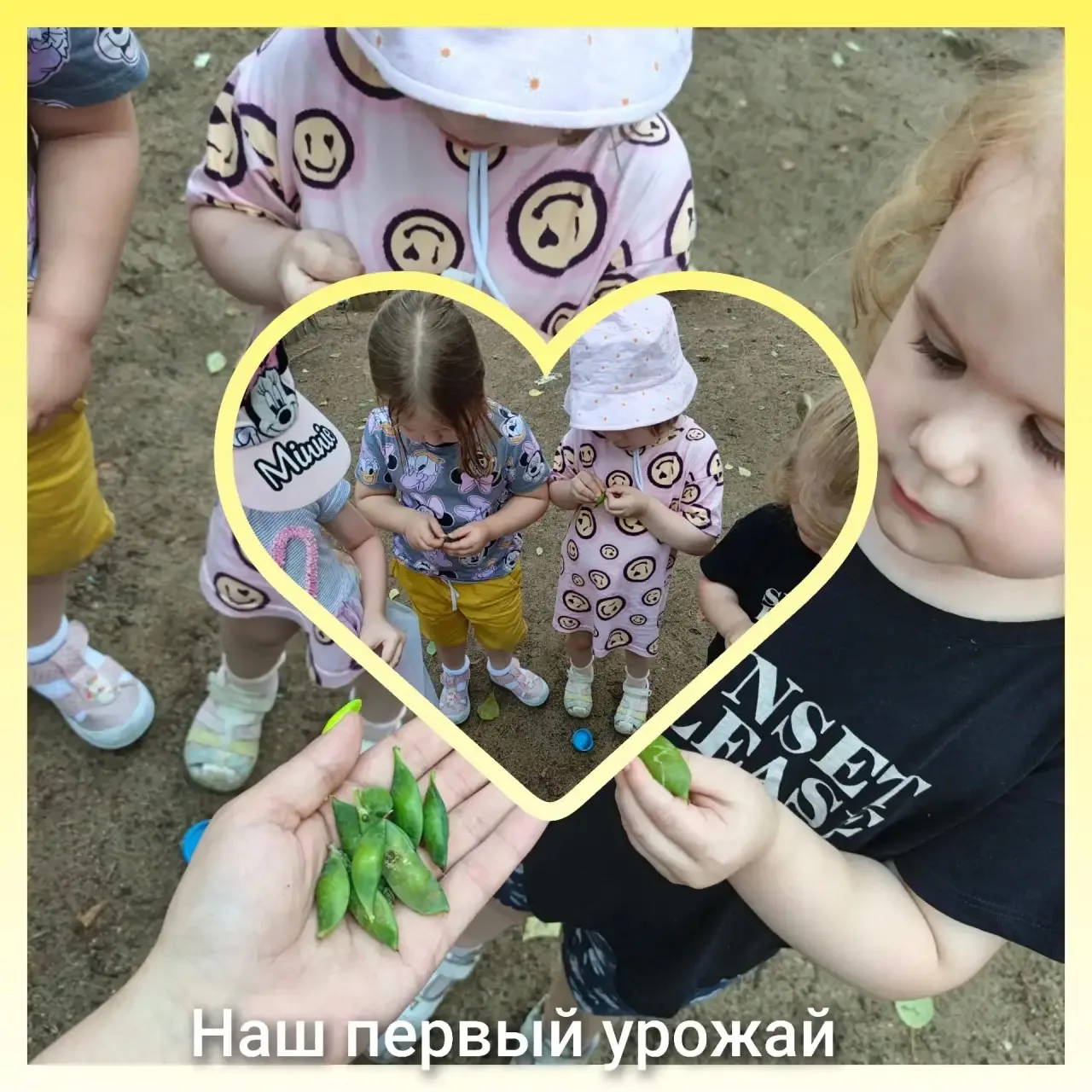 Первый урожай 🥰