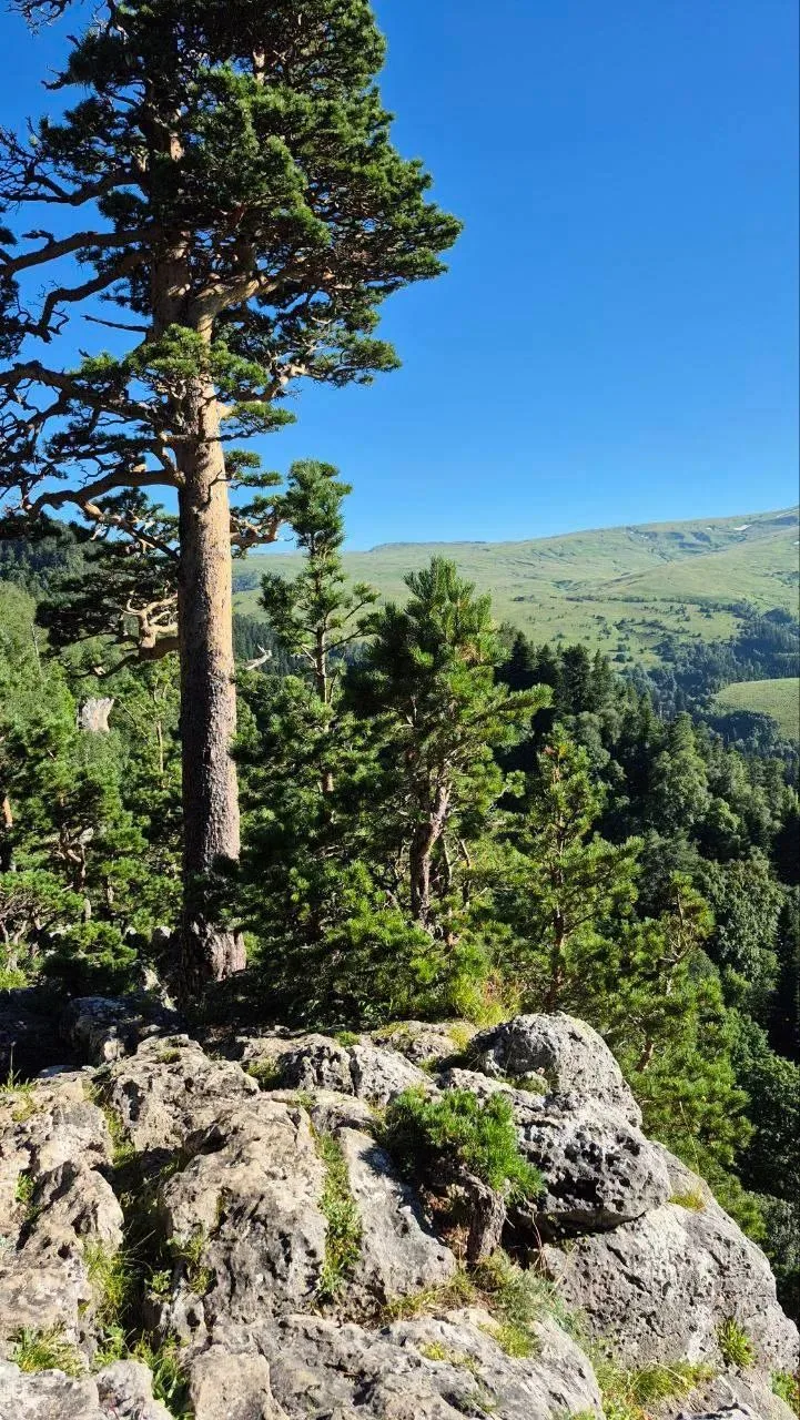 Доброе утро 🌞