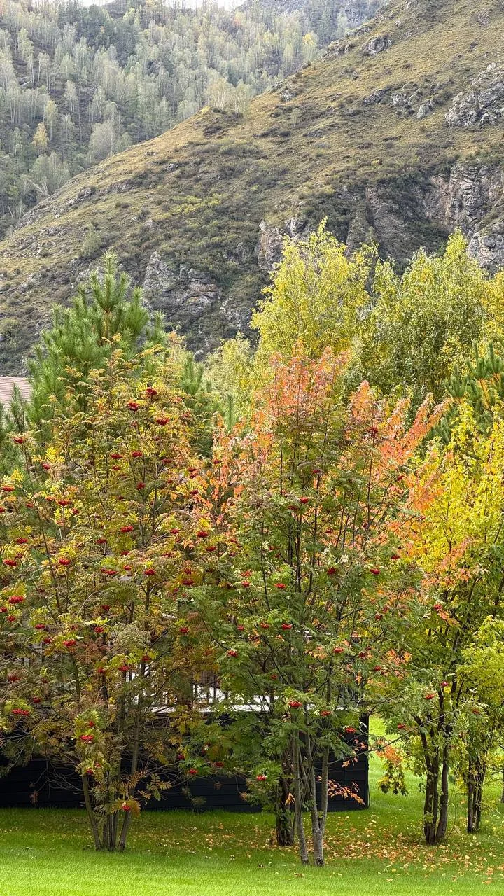 🍂 Алтай осенью - совсем другой.