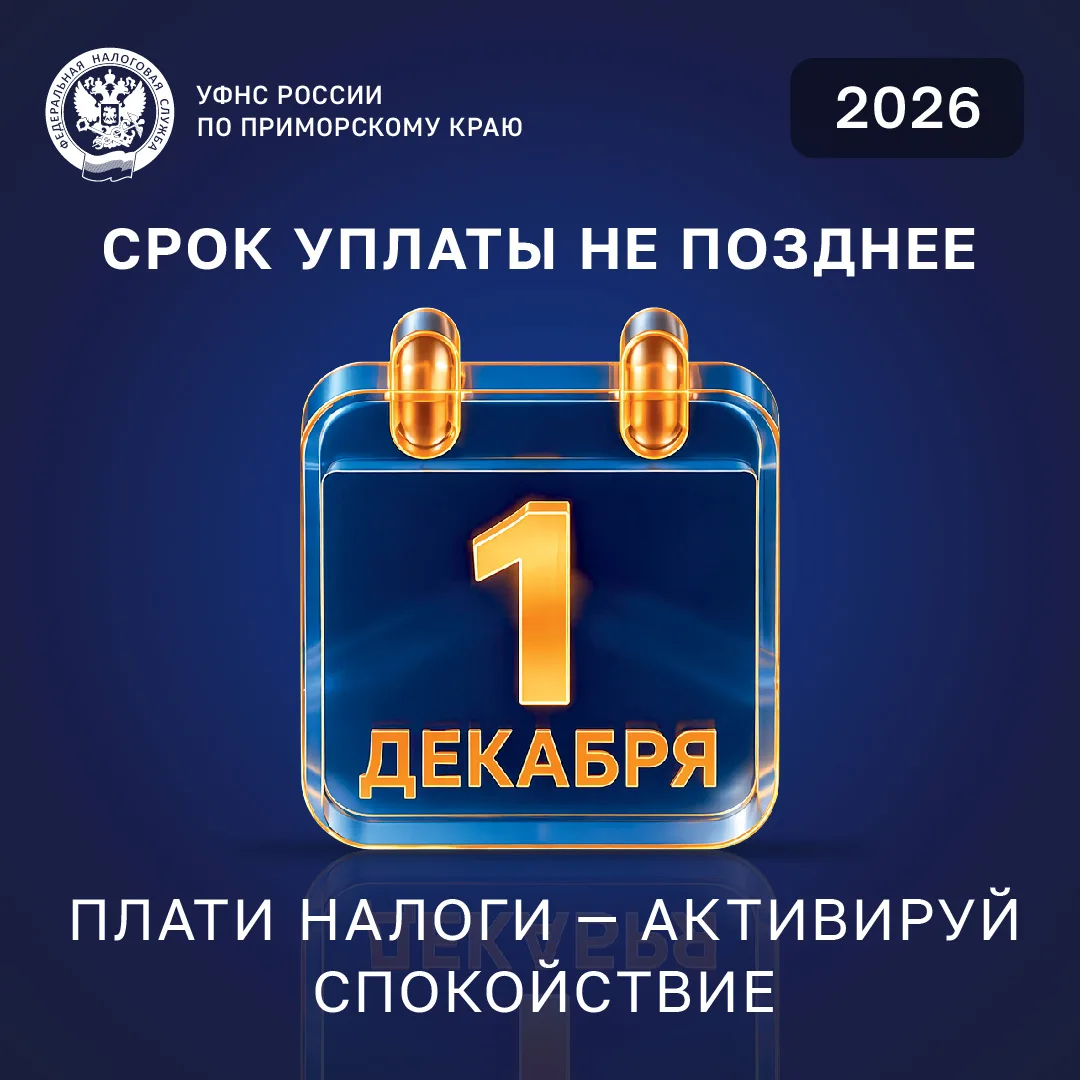 До 1 декабря — время уплатить налоги!