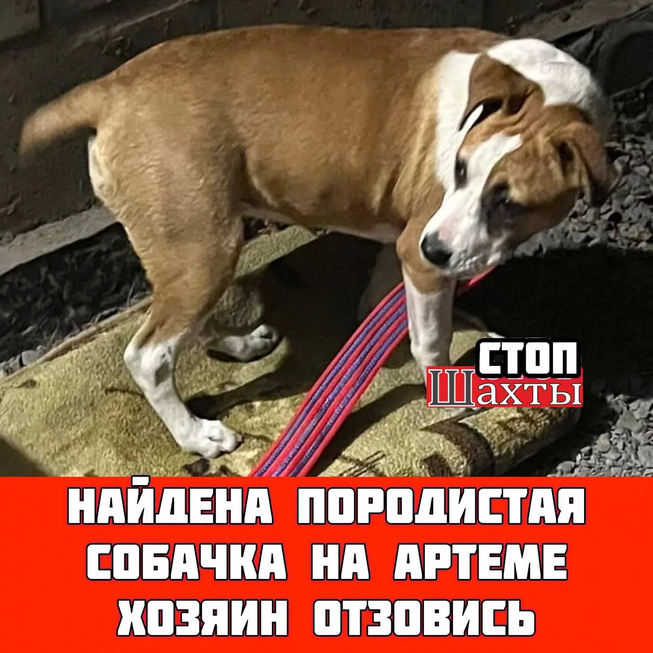 КАЖДЫЙ ЛАЙК И РЕПОСТ ПОМОЖЕТ БОЛЬШЕМУ КОЛИЧЕСТВУ ЛЮДЕЙ УВИДЕТЬ ДАННЫЙ ПОСТ