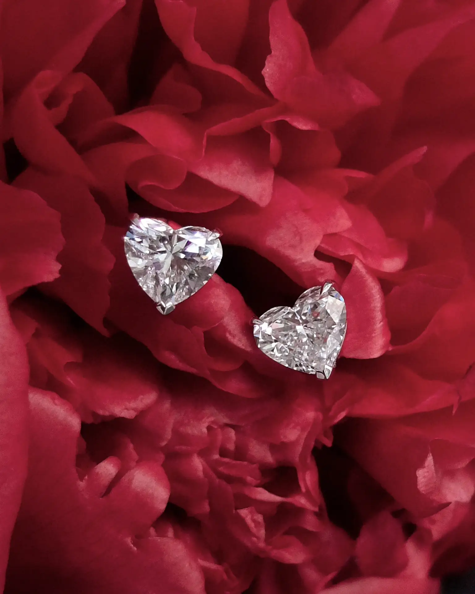 Серьги-пусеты 2,01 ct ❤️

Характеристики:
✨ Металл: Белое золото, 750 проба
✨ Вес: 2,58 г
✨ Вставки: