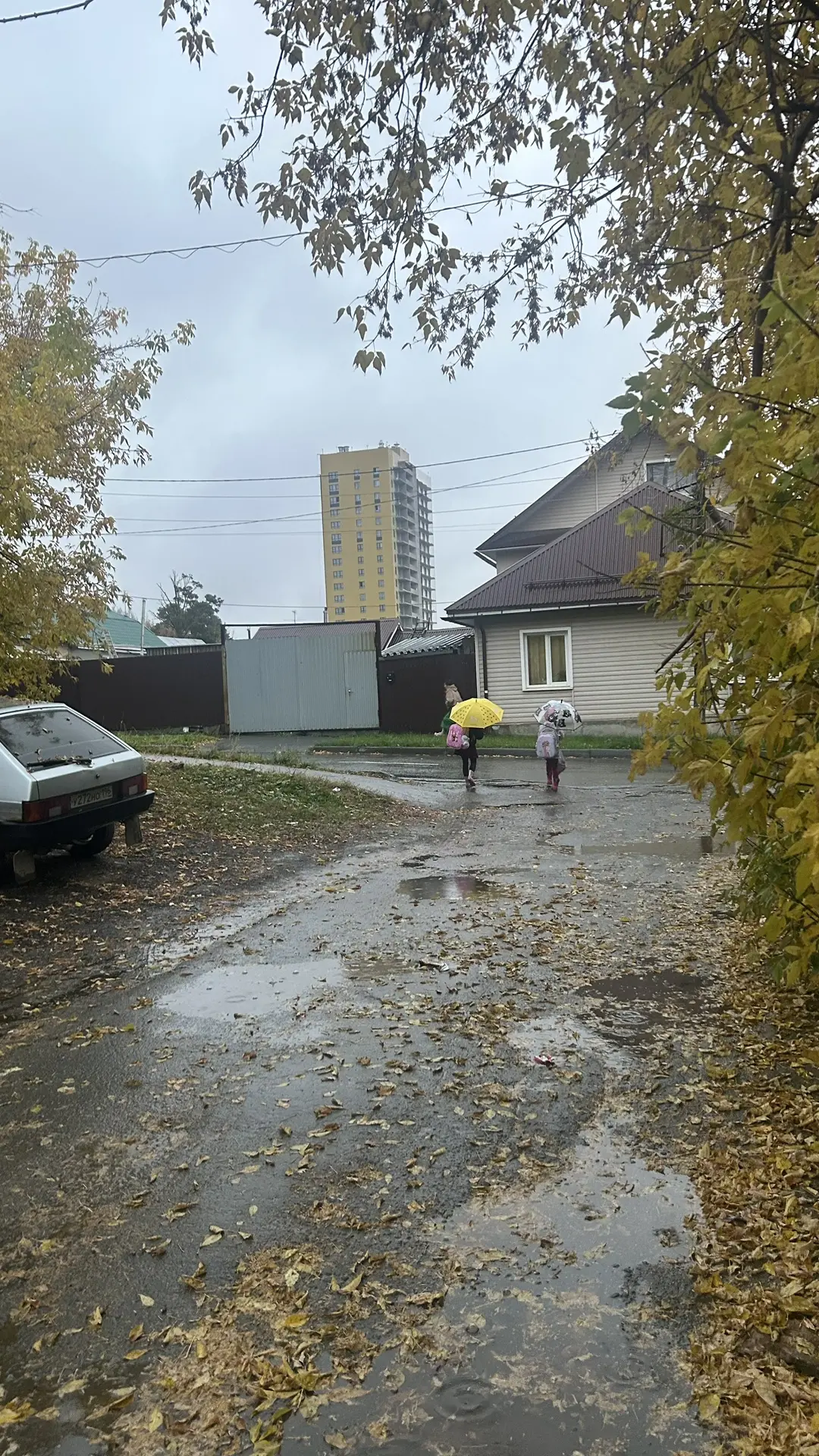 Осенние грибочки 🤭