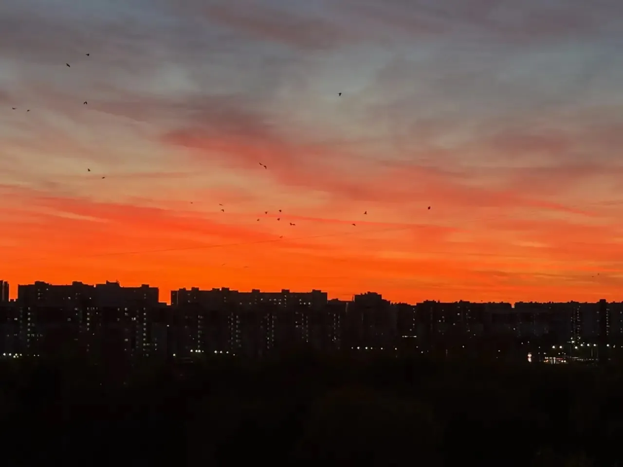 ❤️‍🔥 Сегодняшний закат над Зеленоградом.