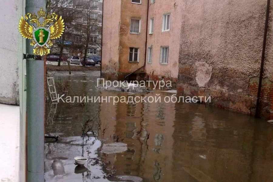 Жильцы довоенного дома на ул. Клавы Назаровой добились новых квартир

Калининградцам, расселенным по
