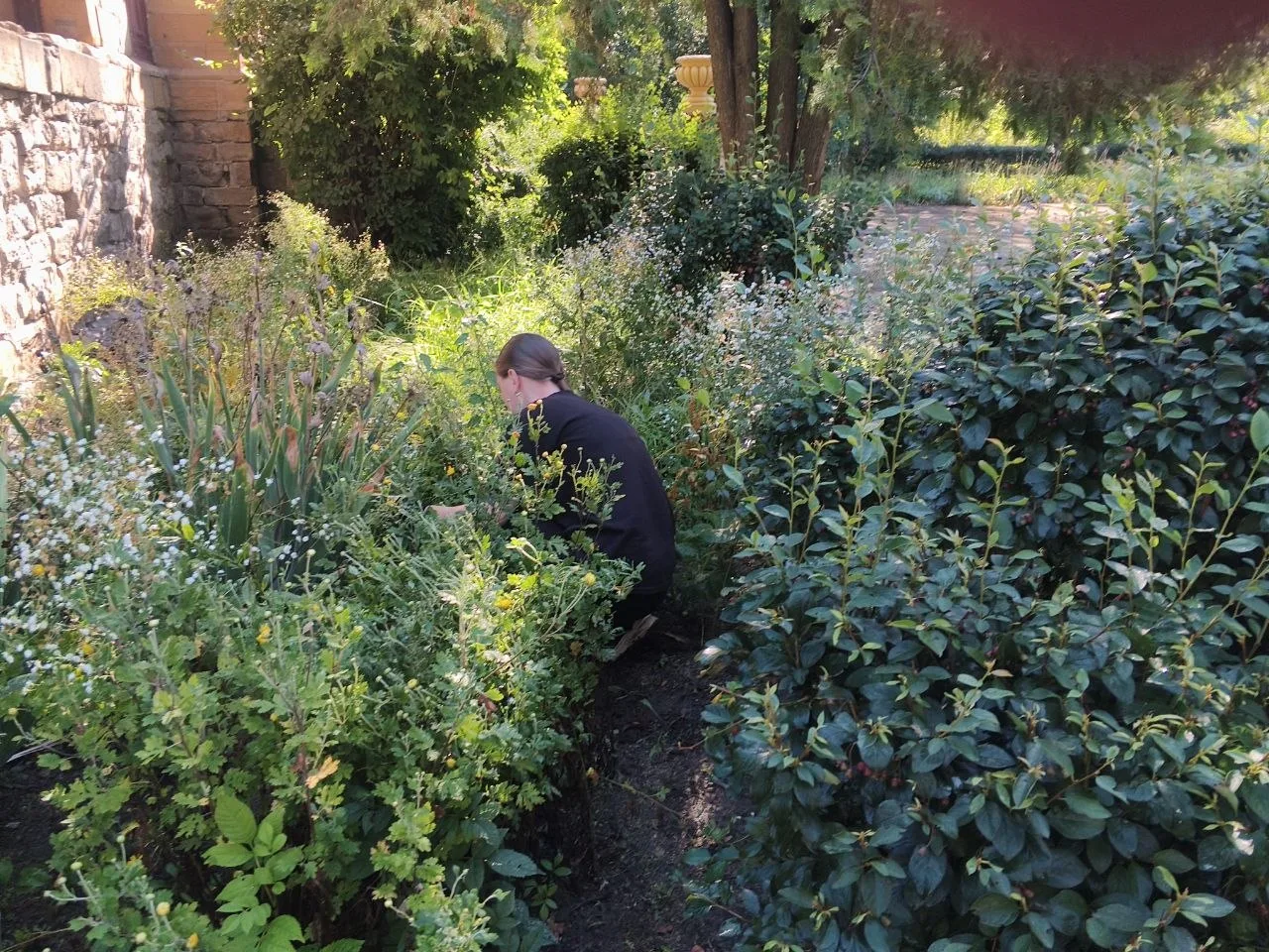 Сотрудники филиала "Музейно-туристический комплекс "Парк и усадьба Казимира Мсциховског...
