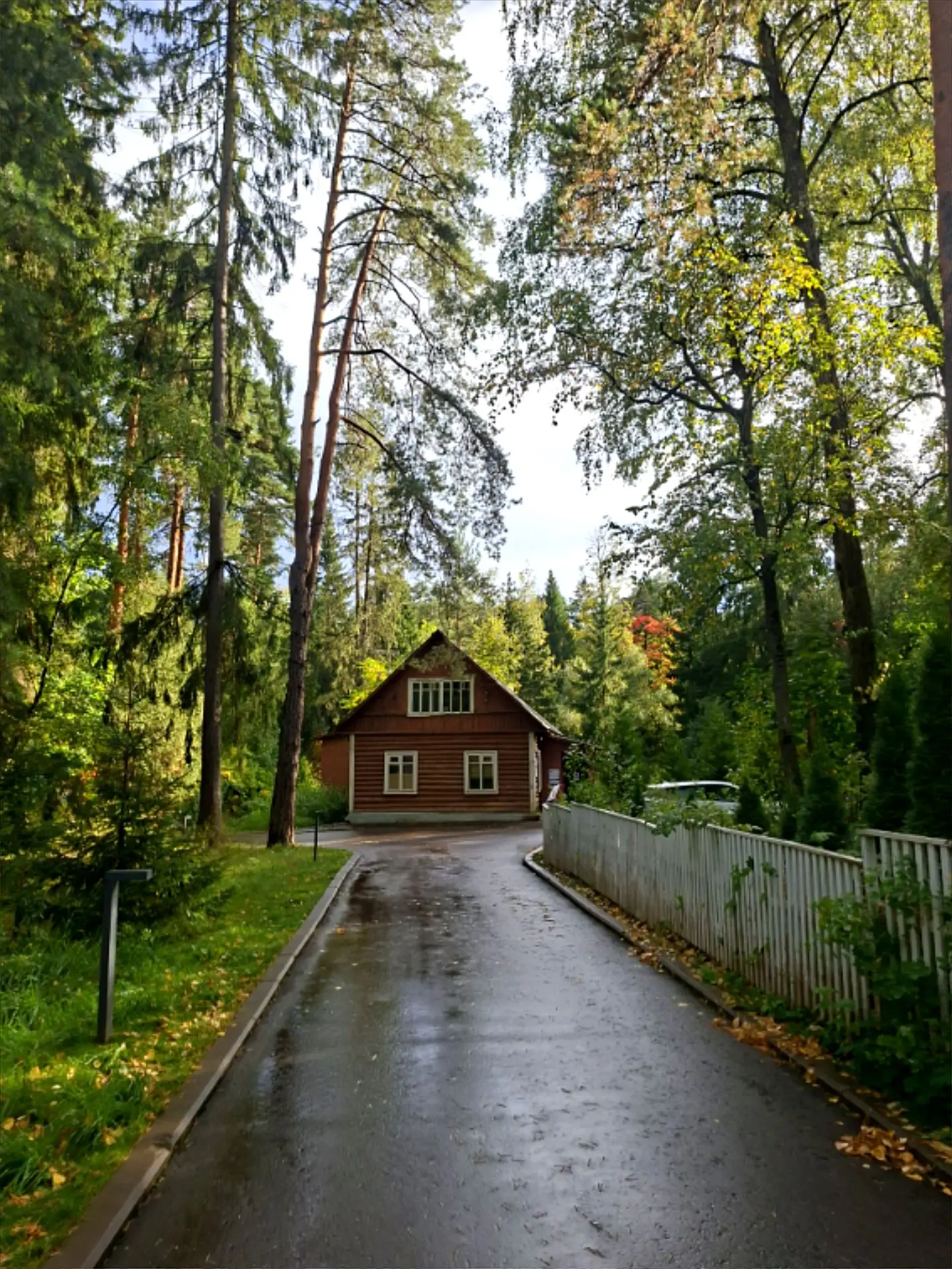 Осеннее Переделкино.