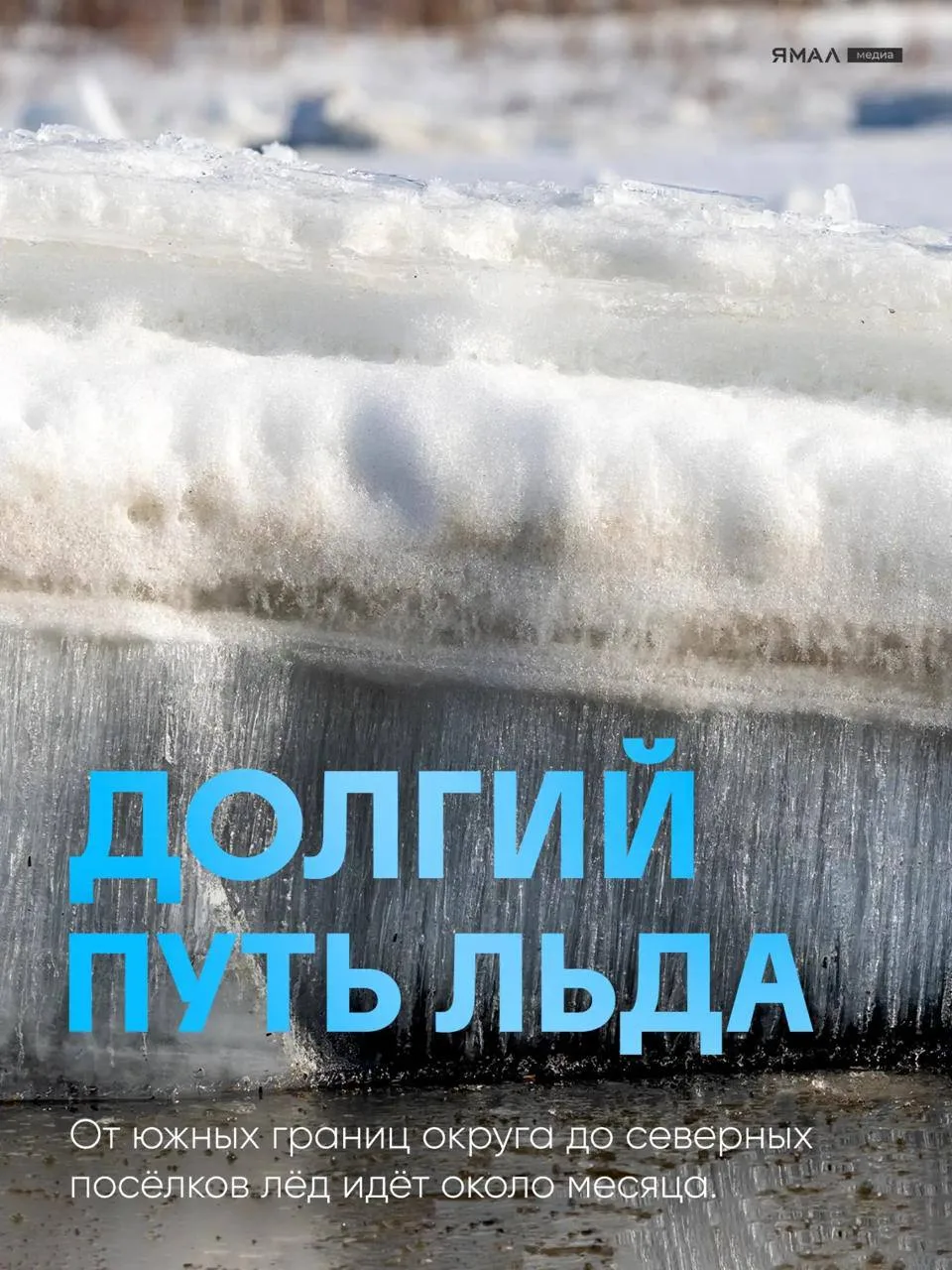 🌊 Явление, которое стоит увидеть хотя бы раз в жизни  У него есть голова и хвост, он движется, мы ег