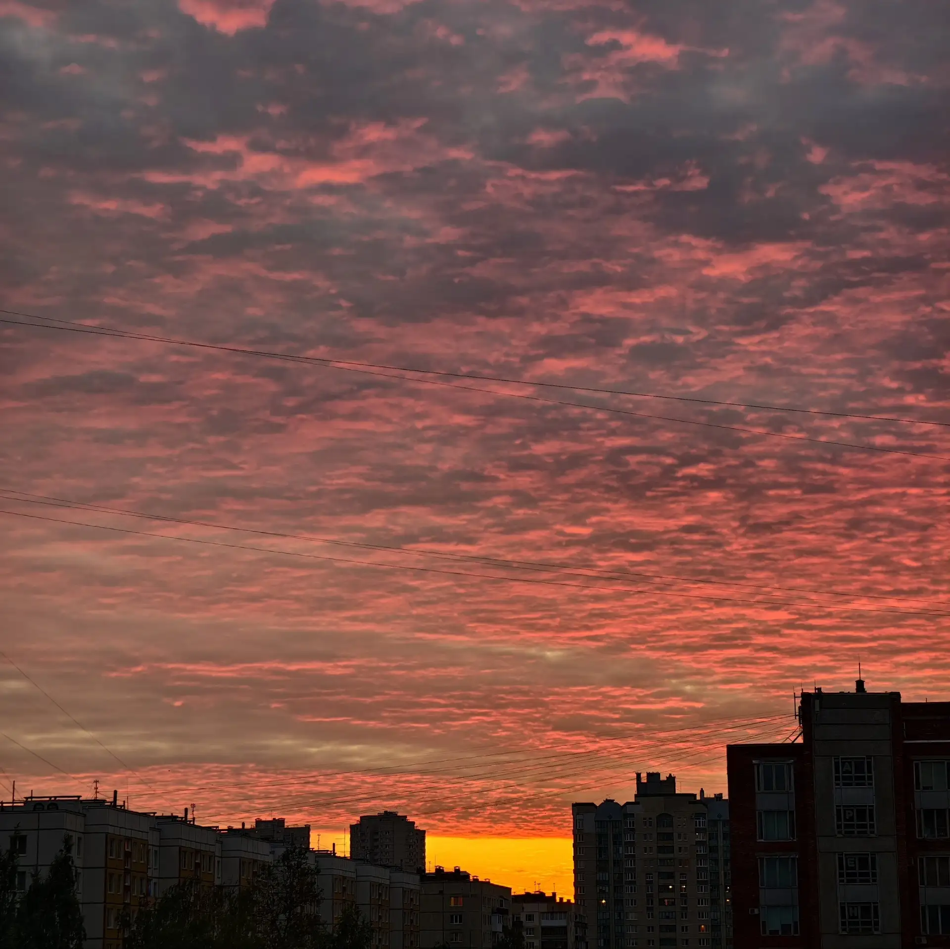 😍 Ярко-розовый закат над Петербургом.