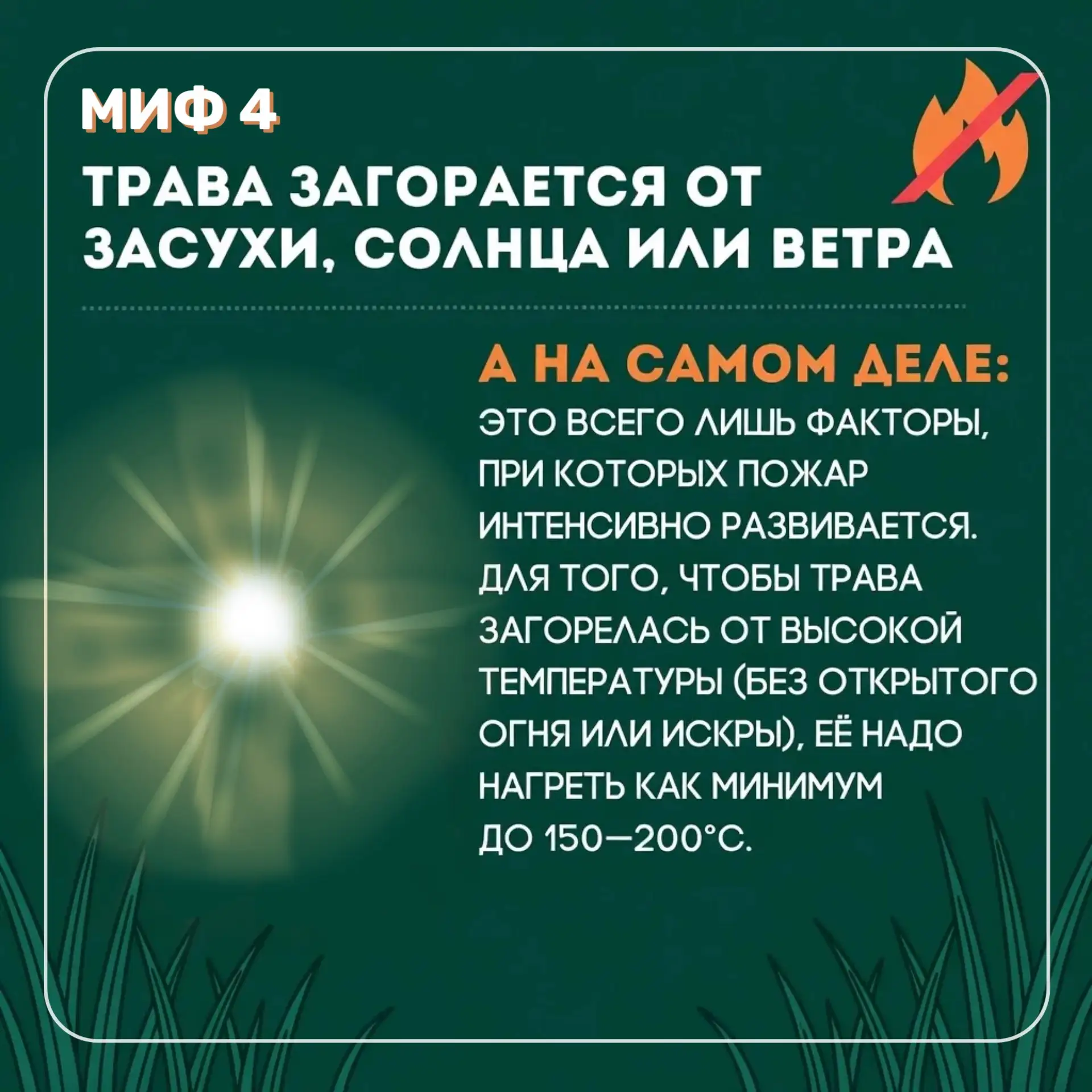 🔥 Пал травы может обернуться трагедией!  Многие знают об опасности, однако, несмотря на это, за неде