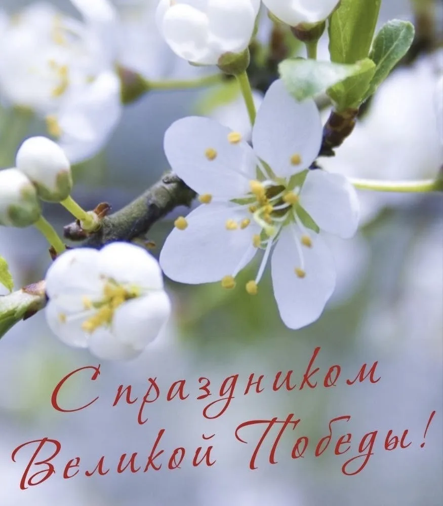 Дорогие мои, с 9 Мая! ❤️