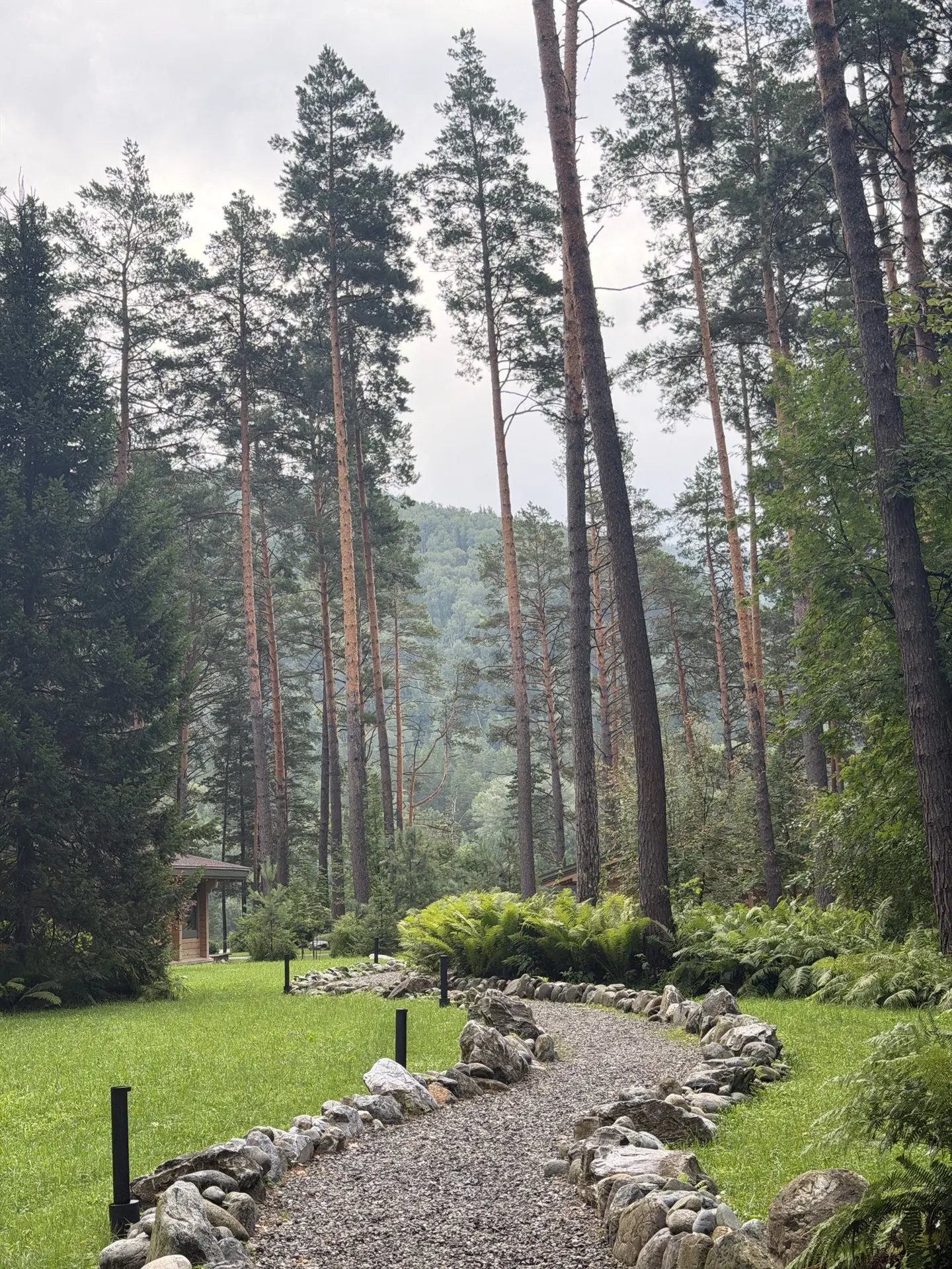 Кусочек Алтая. Я в такой эйфории, слов нет. Просто очень нравится все! 😍 отдельная пла...