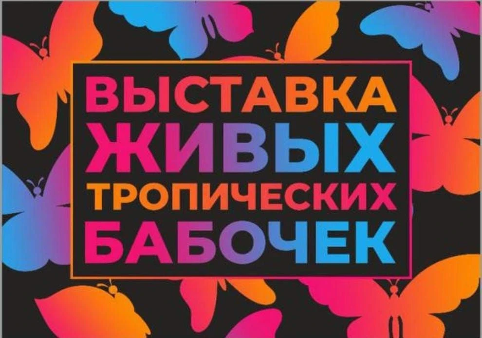 2 августа  в г. Белово в ЦЕНТРАЛЬНОМ ДВОРЦЕ КУЛЬТУРЫ ул. Октябрьская 12 а один день с 11:00 до 16:00