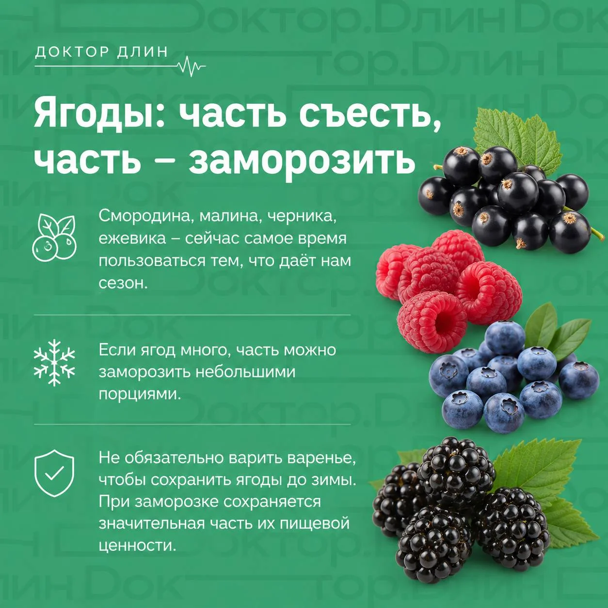 Все публикации рубрики - по хештегу #дачнаякухняДоктораДлина