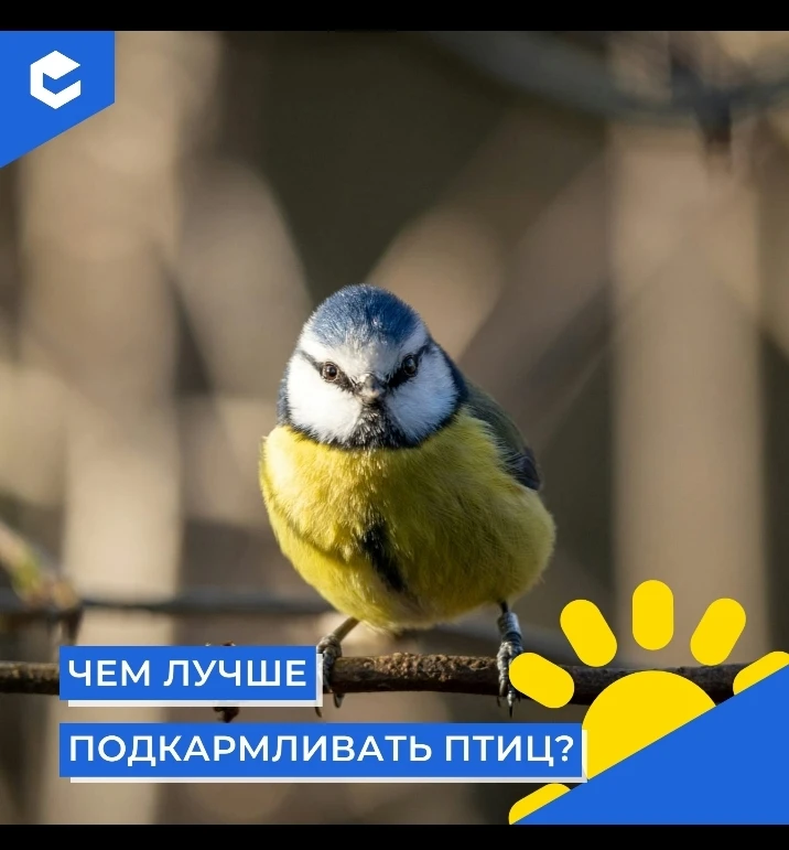 Чувствуете, как забайкальская зима вступает в свои права? Температура опускается всё ни...