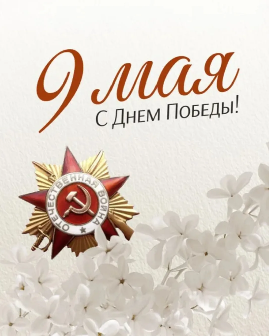 Дорогие друзья!