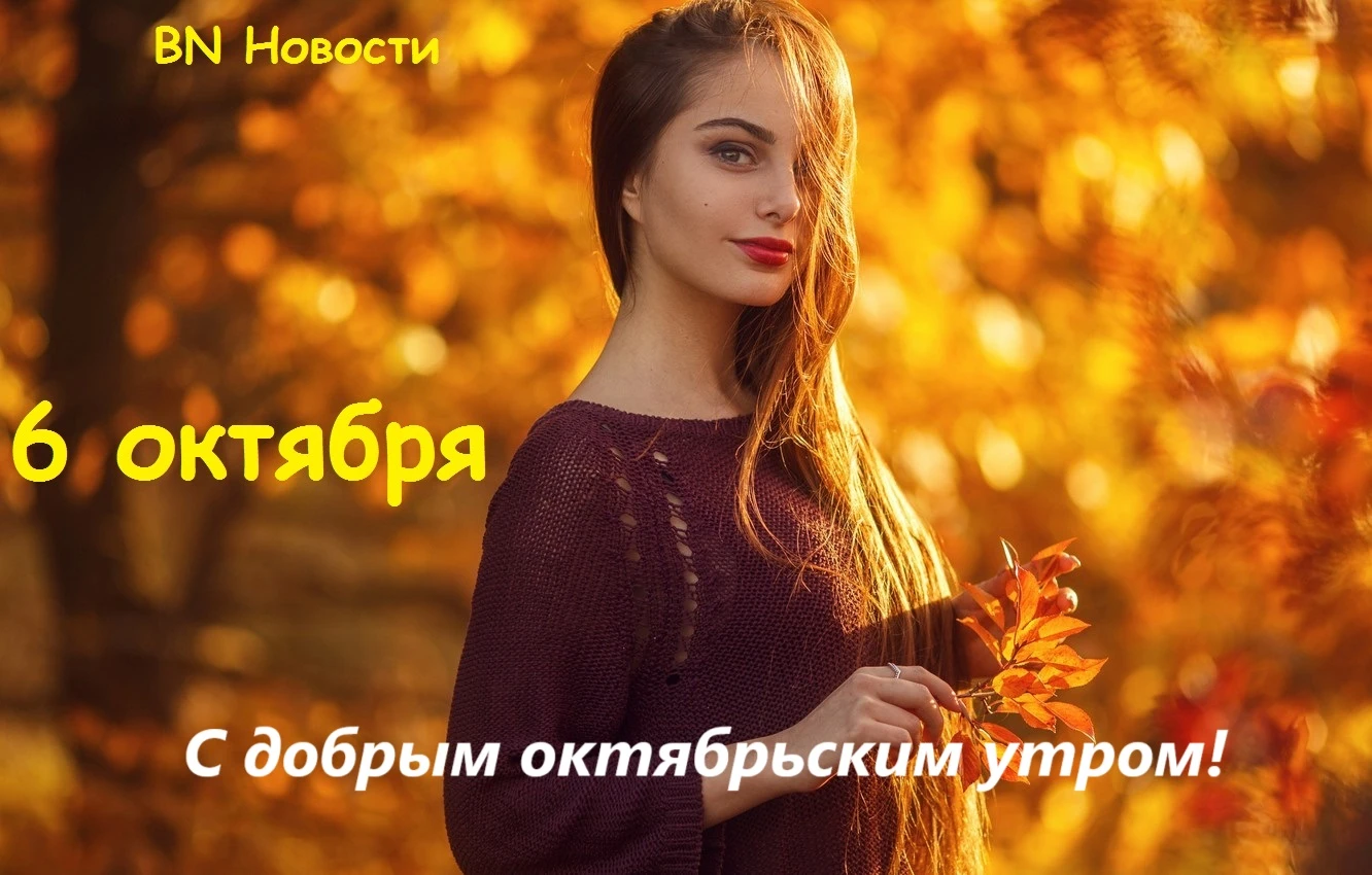 Подписаться на BN Новости –