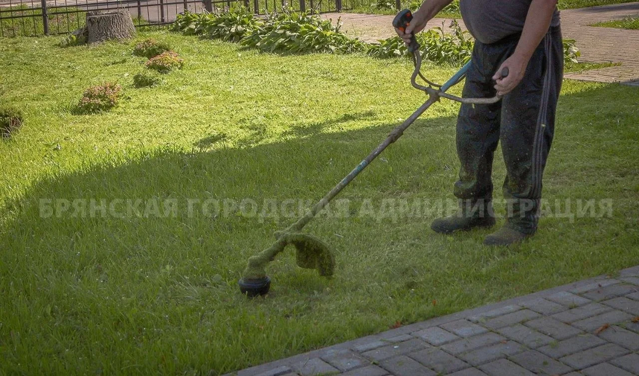 ⏺В Брянске за сутки скосили более 87 тысяч квадратных метров травы

Работы велись на Московском прос