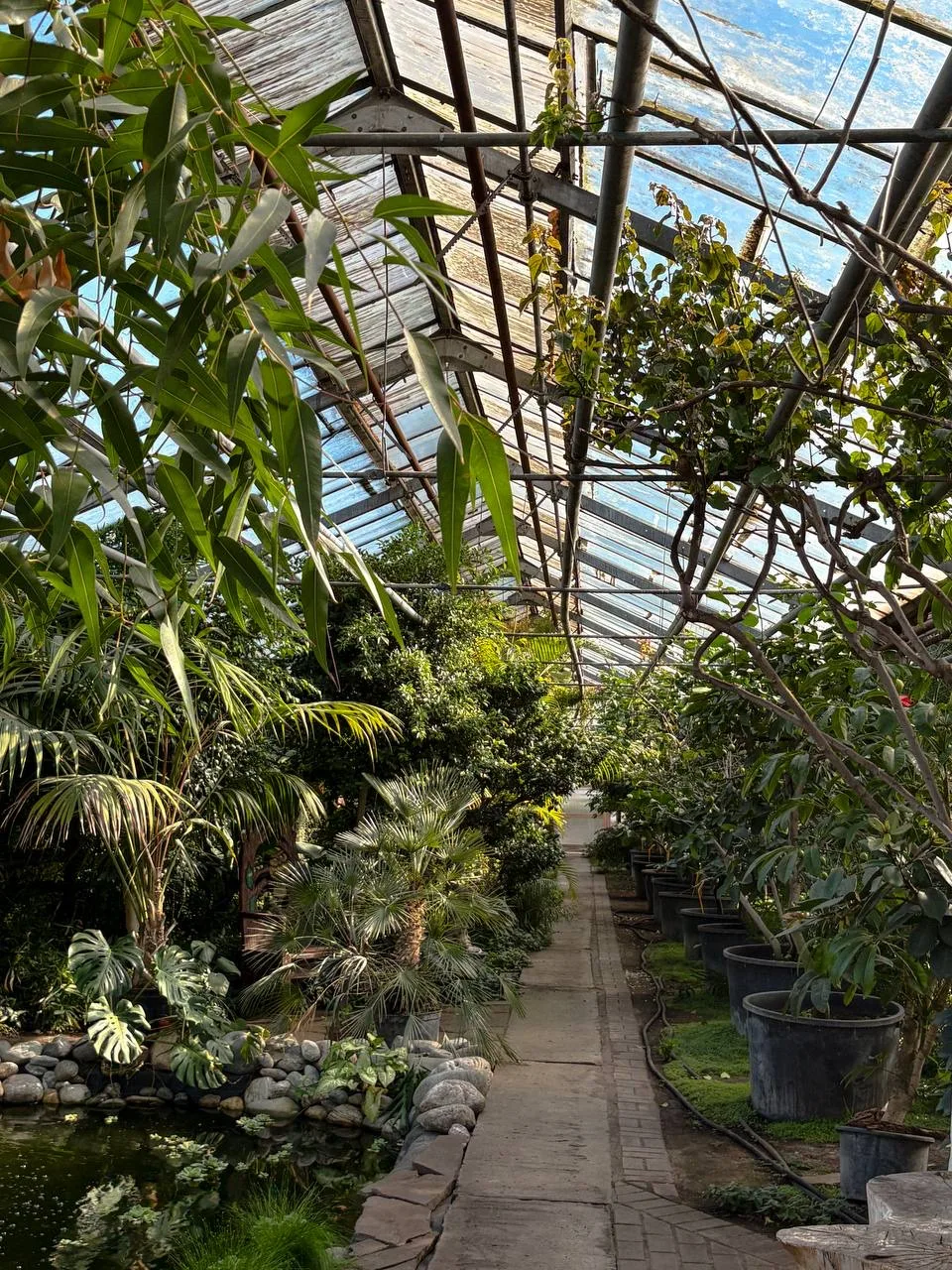 Оранжерея «Зеленхоз» 🌱

Экскурсии для всех желающих проходят каждую субботу в 9:00. 

📍 Московская
