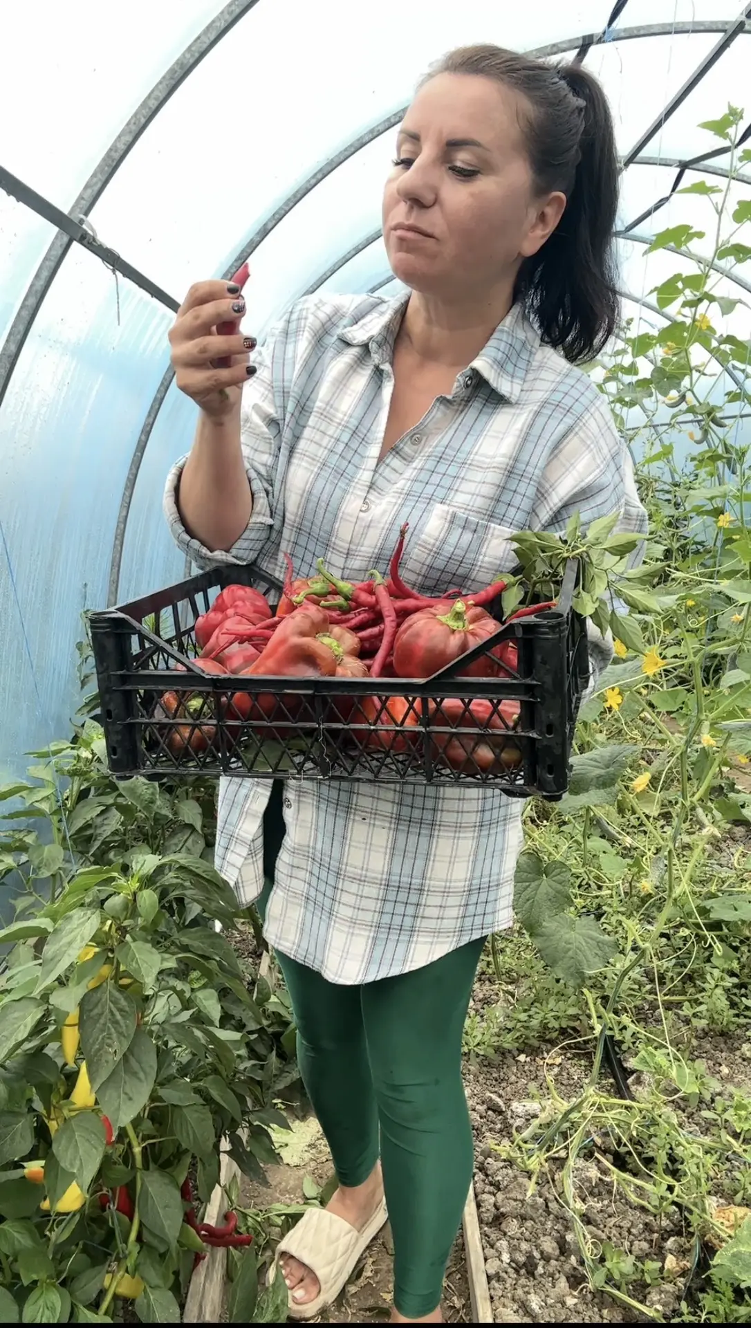 Я тут гостинцы собираю 🤗 подружке в Ростов 🥰