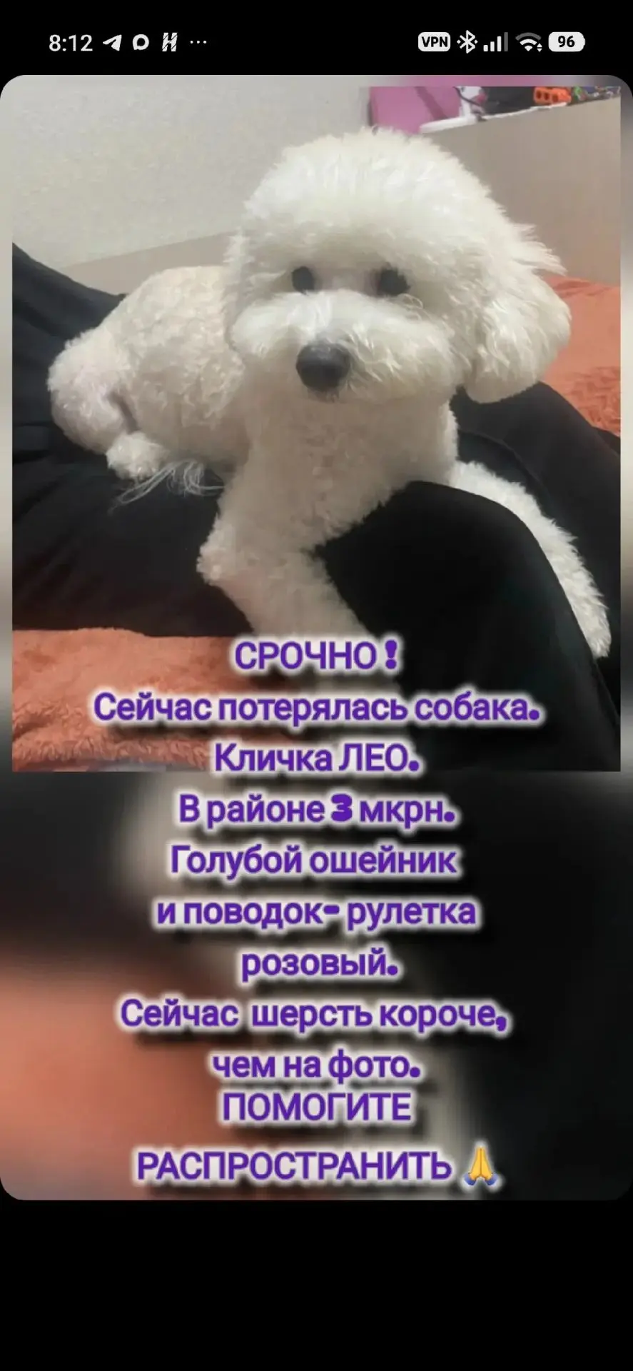 Если вы видели её — пожалуйста, не пытайтесь ловить! Просто сразу позвоните: +7 951 570...