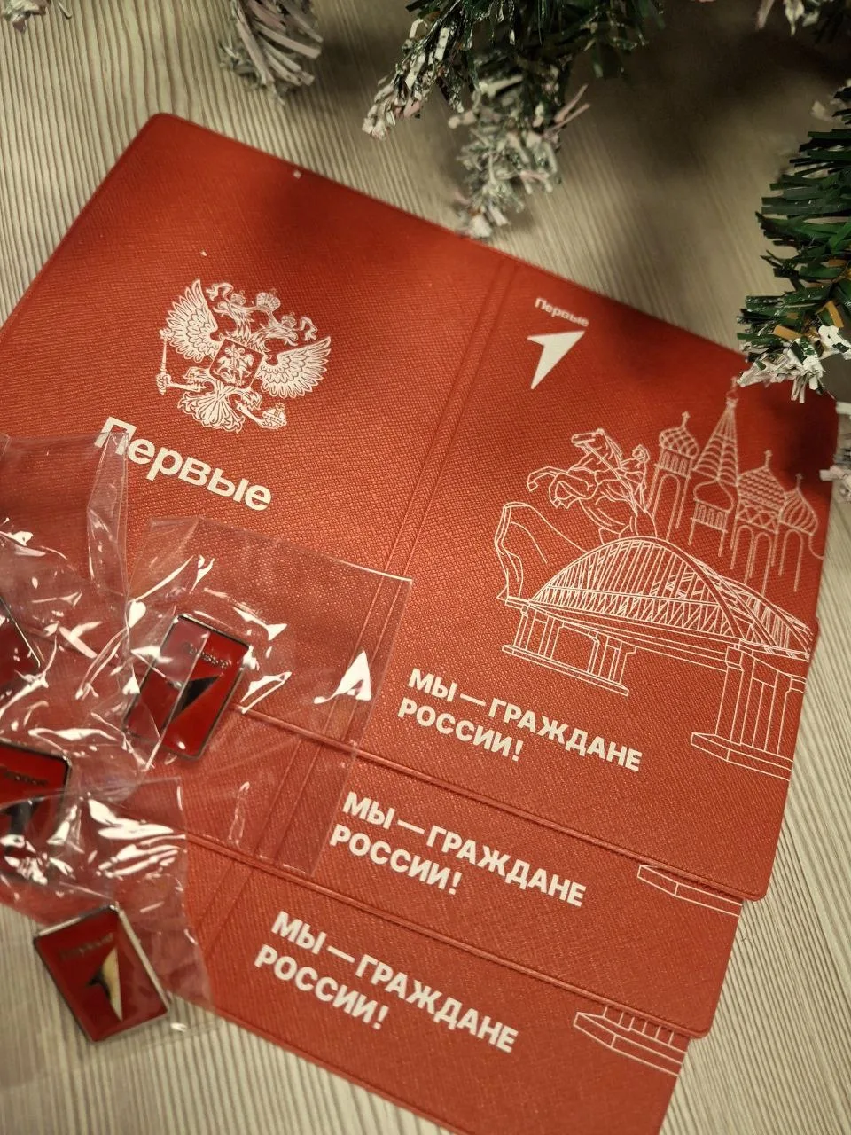 🇷🇺Старт регистрации на торжественное вручение паспортов «Мы — граждане России!»   Добрый день, уважа