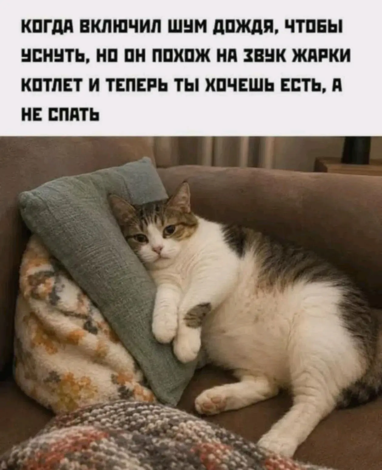 Ну что, опять ночной дожор?