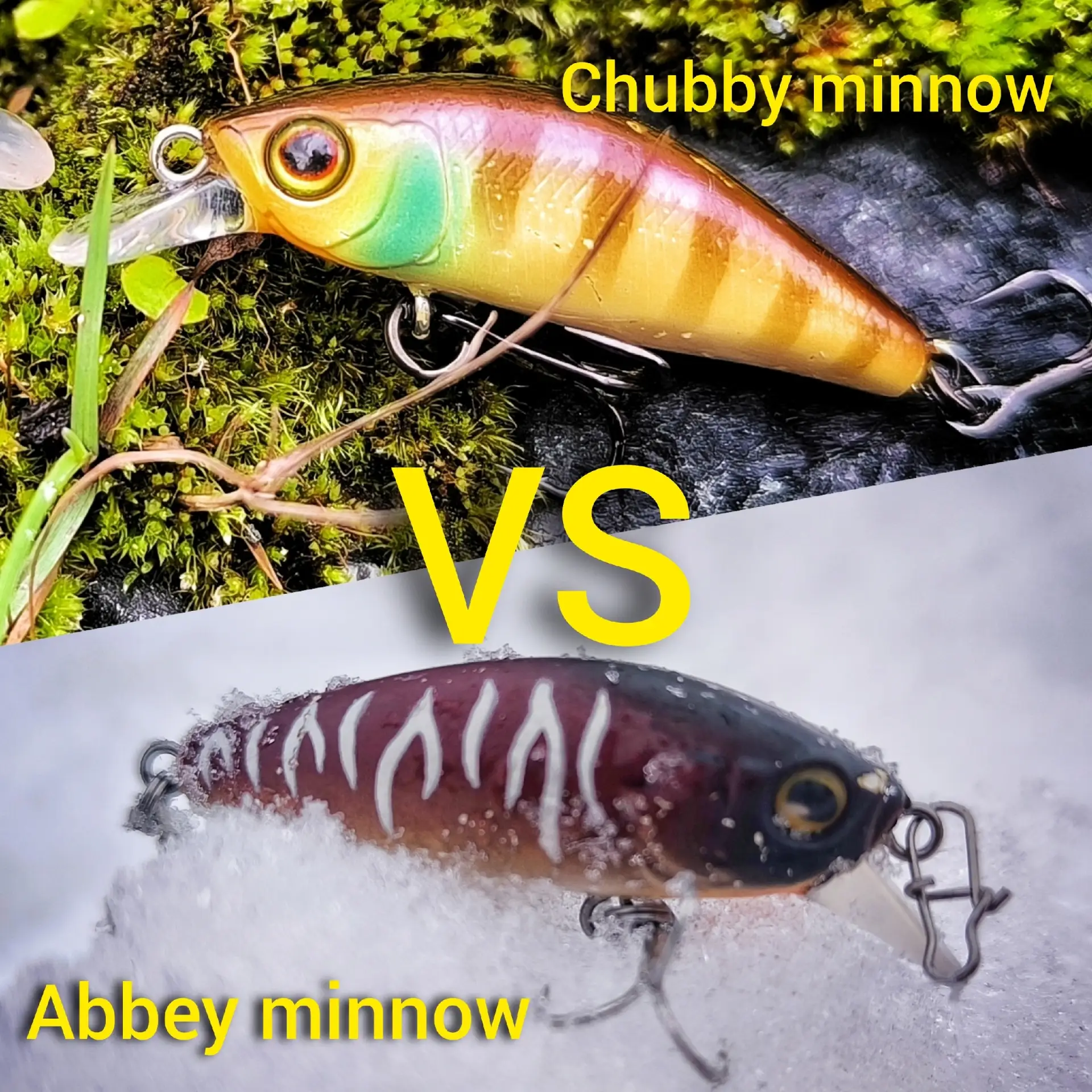 Новичок против легенды. Abbey Minnow SF VS Chubby Minnow