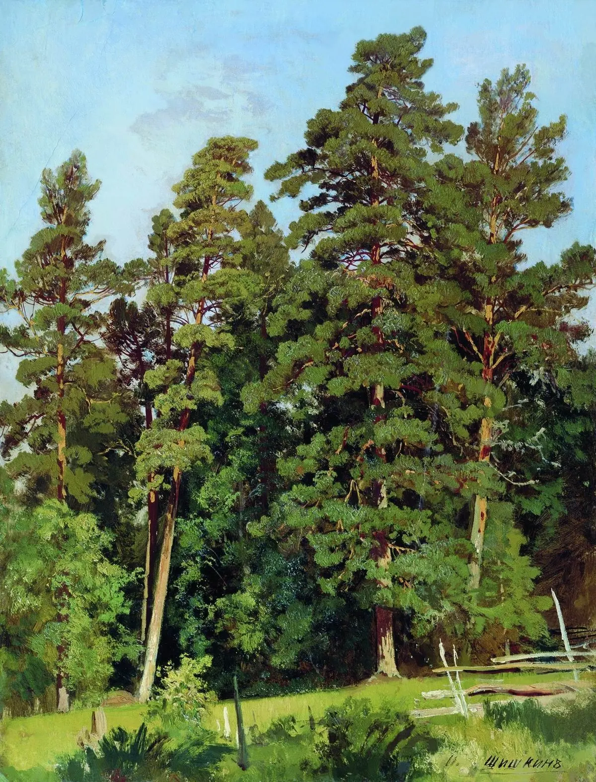 "Сосновый лес"