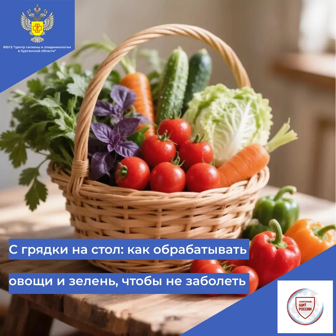 📍С грядки на стол: как обрабатывать овощи и зелень, чтобы не заболеть

Тёплый сезон — время свежих 