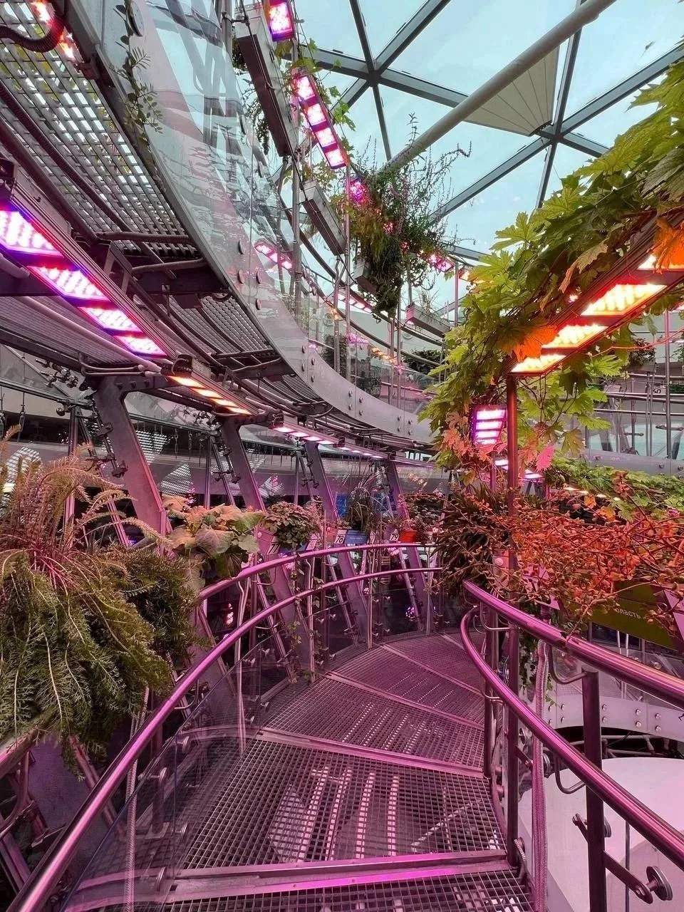 🌿 Под куполом природы — отдых во Флорариуме в парке «Зарядье»