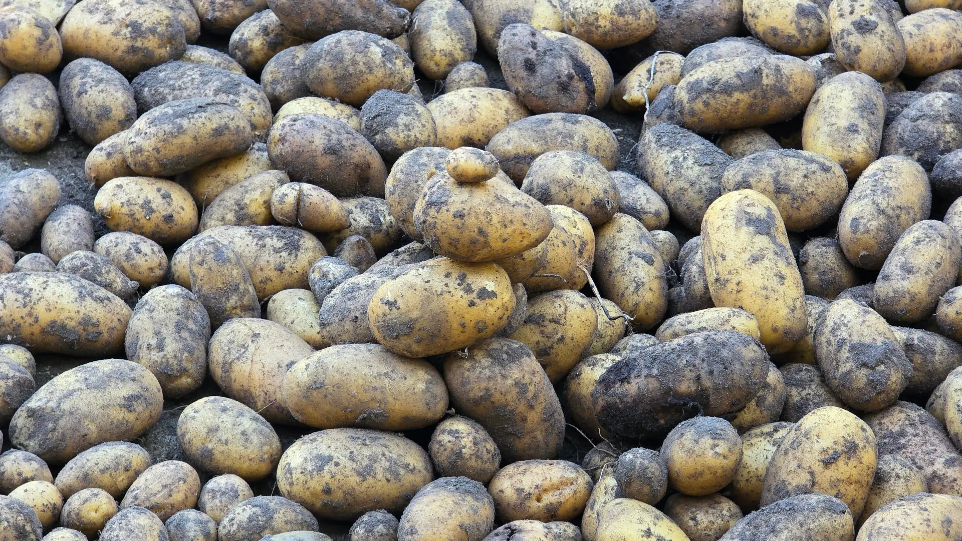 🚨🥔 СПИНА В МЯСО, ЗАТО С КАРТОШКОЙ!