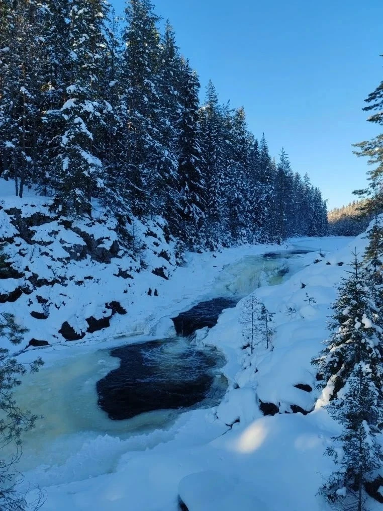 ❄️🌲✨«ЗДРАВСТВУЙ, КАРЕЛИЯ!» ❄️🌲✨  1⃣2⃣–1⃣3⃣ февраля 2⃣0⃣2⃣6⃣ года большая делегация школьников 5⃣–8⃣ 