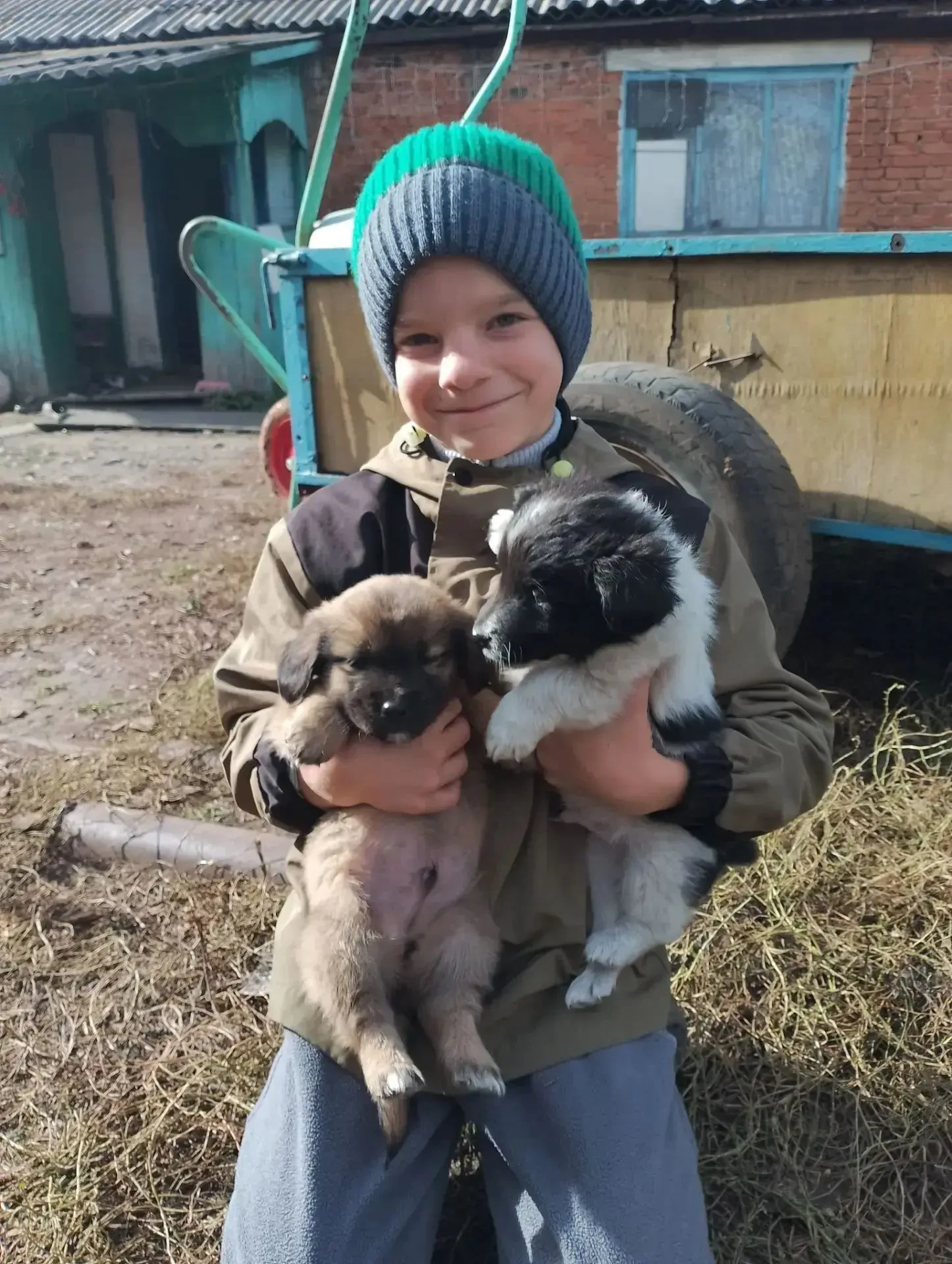 А у нас живут вот такие щеночки один Бимка другой Тимка. Я с ними играю на улице. Они с...