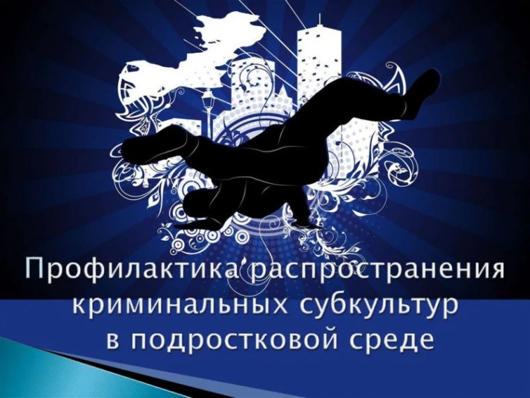 Профилактика распространения криминальных субкультур в молодёжной среде. Будьте внимате...