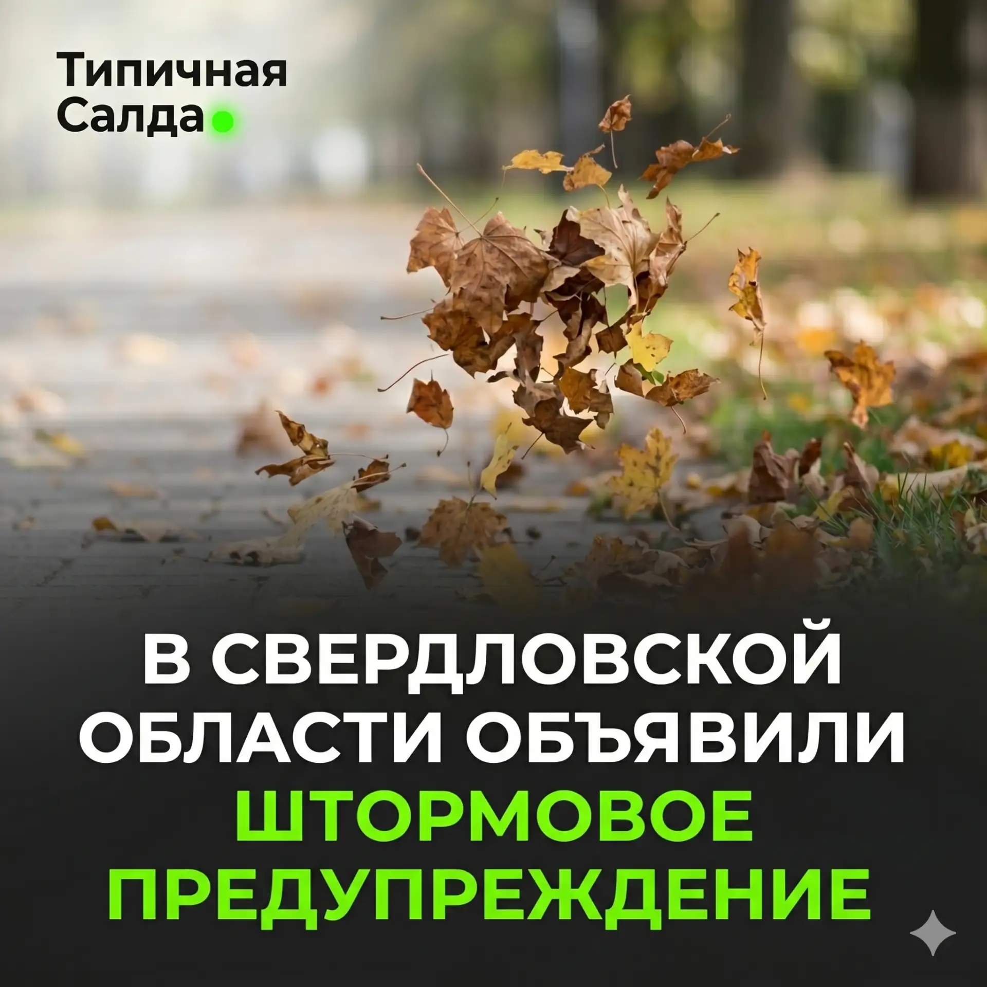 💨 МЧС объявило штормовое предупреждение в Свердловской области.