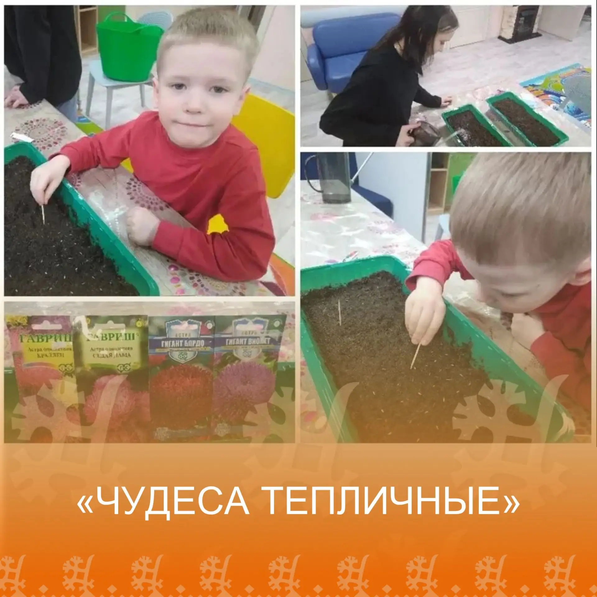 "Чудеса тепличные!"

По традиции нашего отделения "Социальный приют" пришло время посадки растений. 