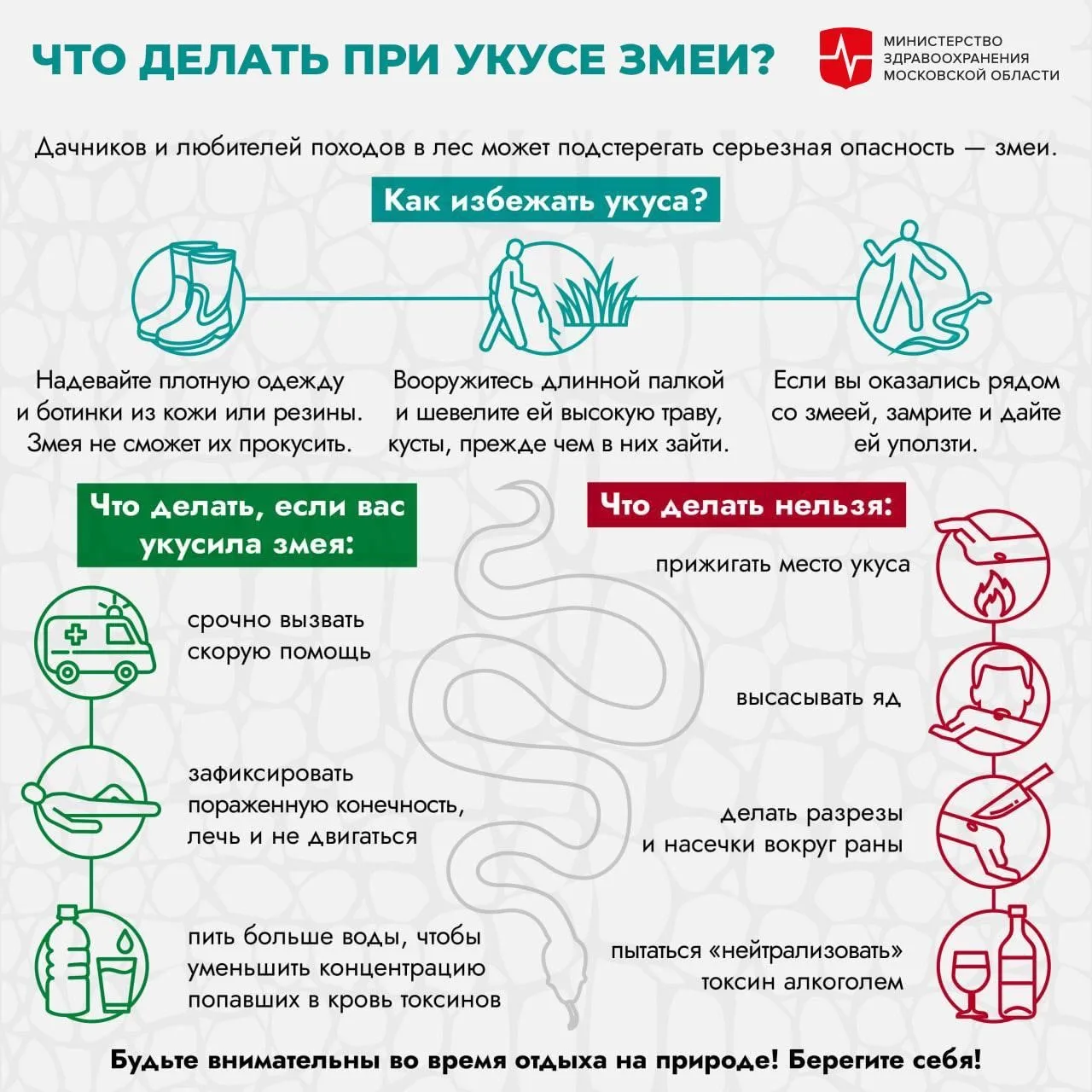 Осторожно, змеи!
