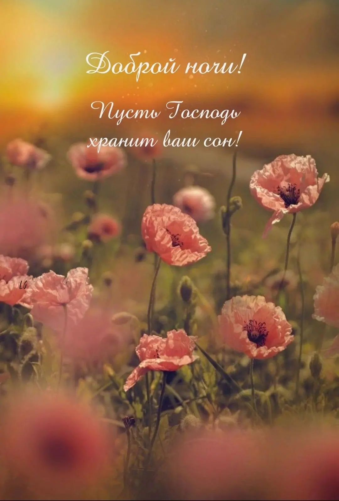 Открытки с верой