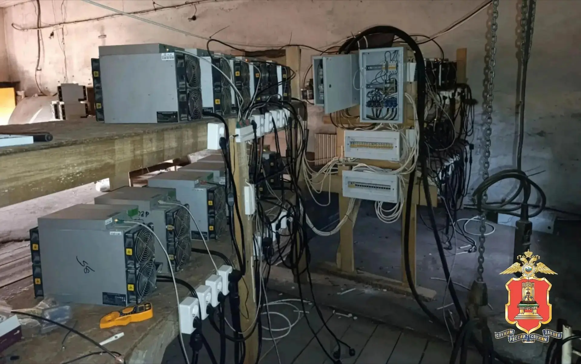 Криптовалюта на 4,7 млн рублей мимо кассы: в Максатихе накрыли скрытую майнинговую ферму🎚

Полицейс