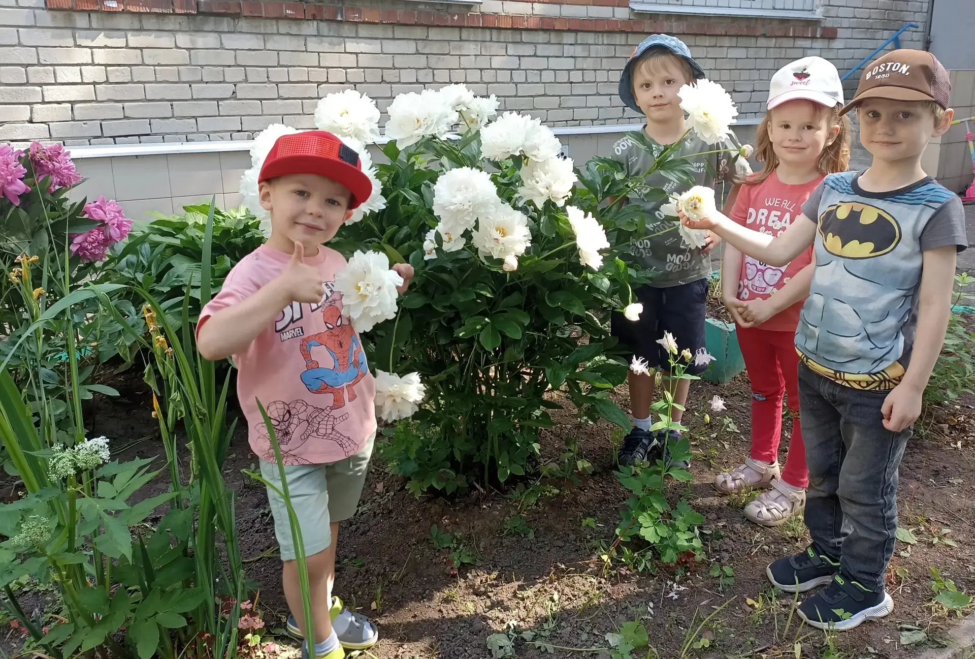 Красота летней 🌞 природы 🌿 вдохновляет на творчество🖌! 
На территории нашего детского сада распус