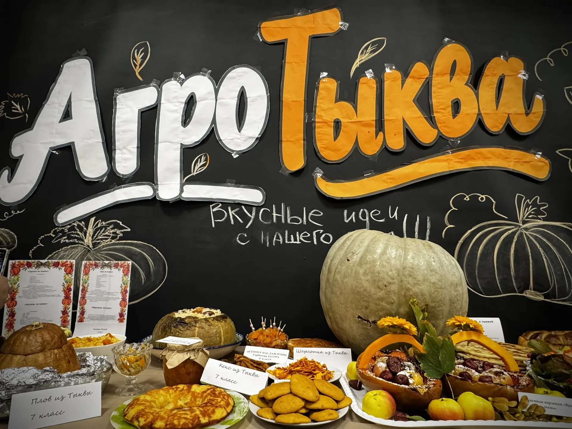 🎃🌱 АГРОТЫКВА — В МБОУ СОШ 15 С.КАЗИНКА ПРОИЗОШЁЛ НАСТОЯЩИЙ ТЫКВЕННЫЙ БУМ!
