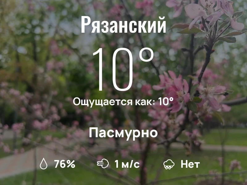 Что с погодой в Рязанском?