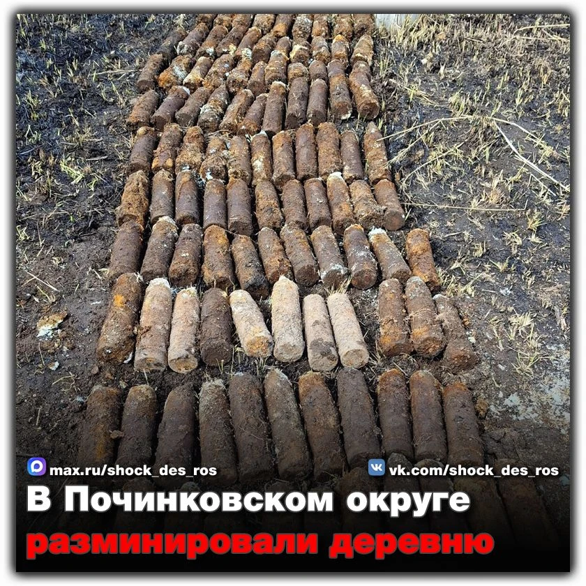 🔴 В Починковском округе разминировали деревню  Специалисты пожарно-спасательного центра обезвредили 